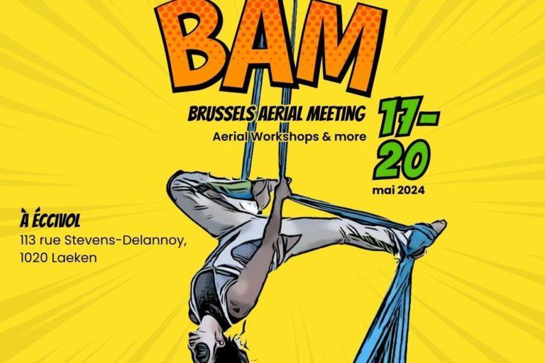 Brussels Aerial Meeting 2024