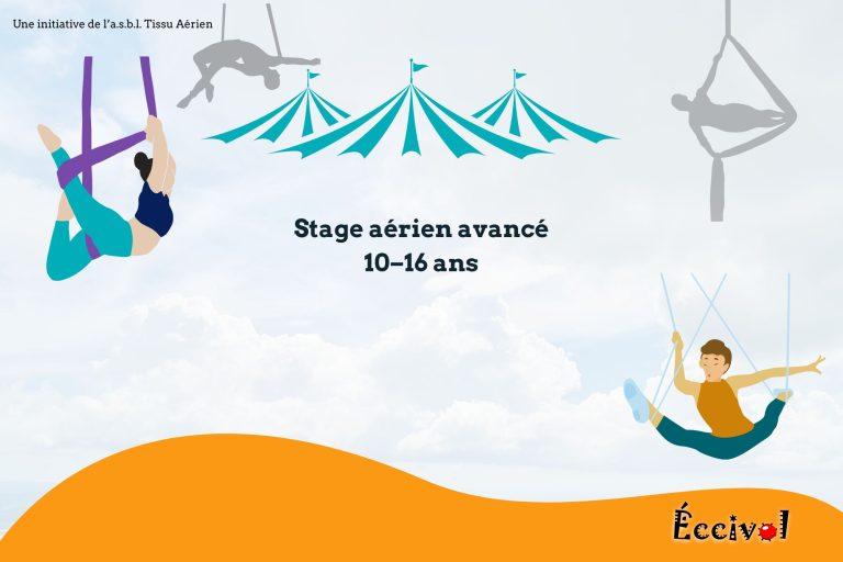 Stage Cirque Aérien Avancé – Été 2025 (10–16 ans)